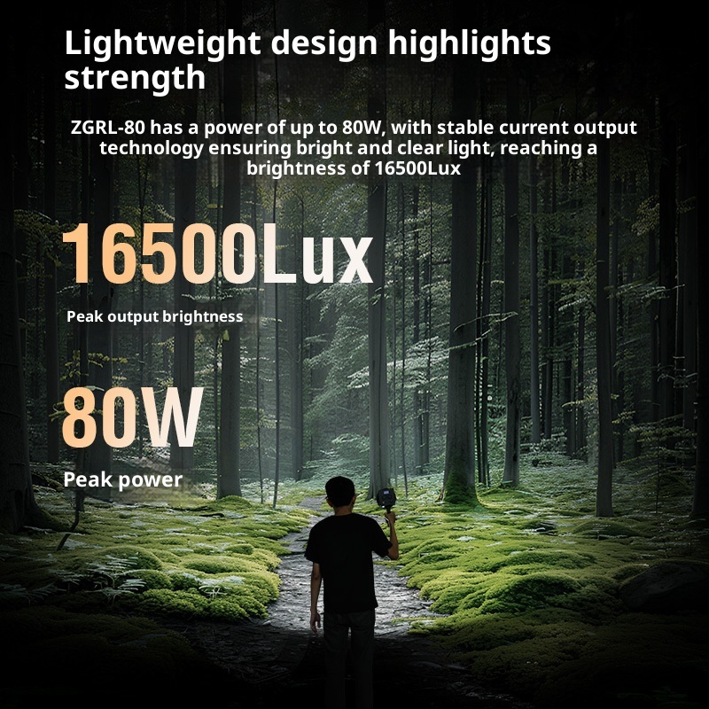 ZGRL80 80W COB ハンドヘルドビデオライト 強力 - Outdoor Lighting Video Shooting のレビューと価格