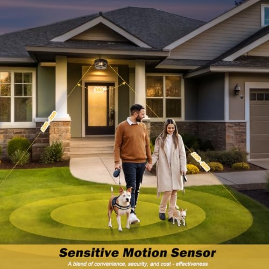 モーションセンサー屋外天井照明、調節可能な黒色フラッシュマウ - Outdoor Lighting Motion Sensor のレビューと価格