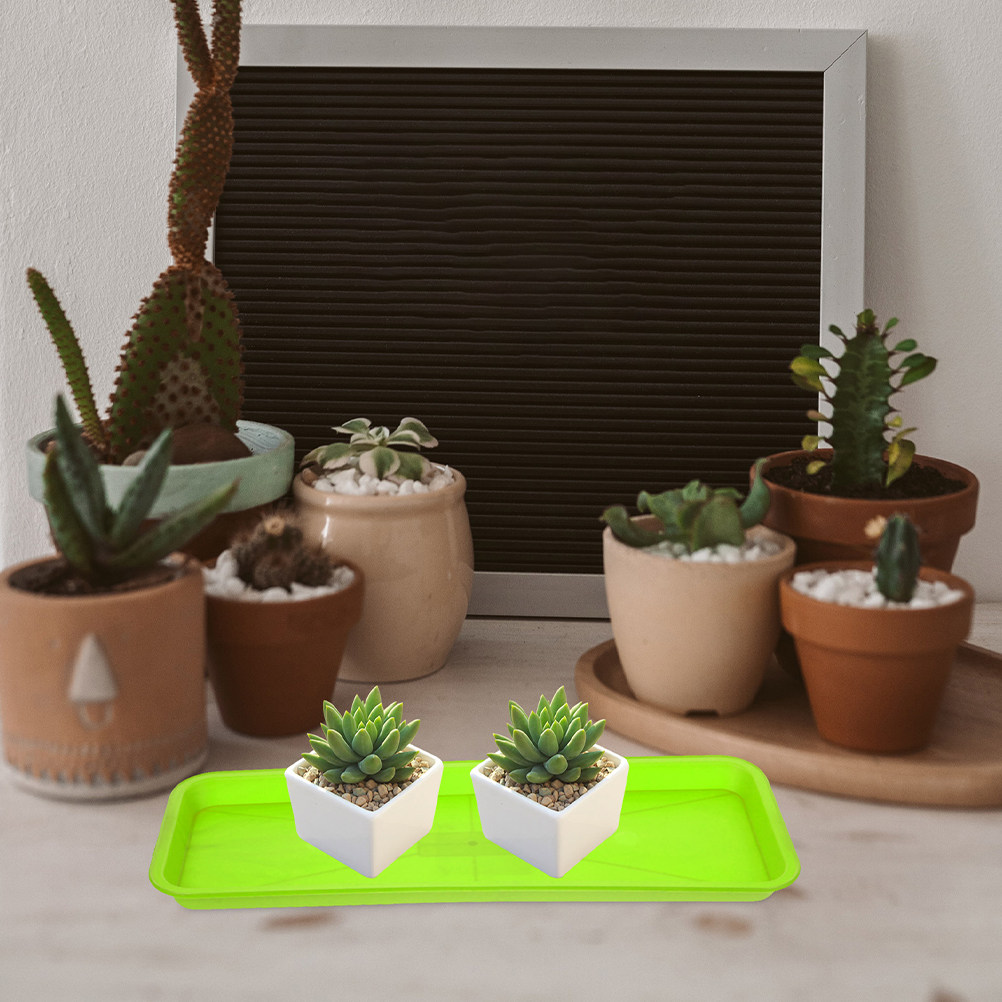 長方形の植木鉢用受け皿5個セット。明るい茶色のPP製で、屋内 - Outdoor Lighting Collections のレビューと価格